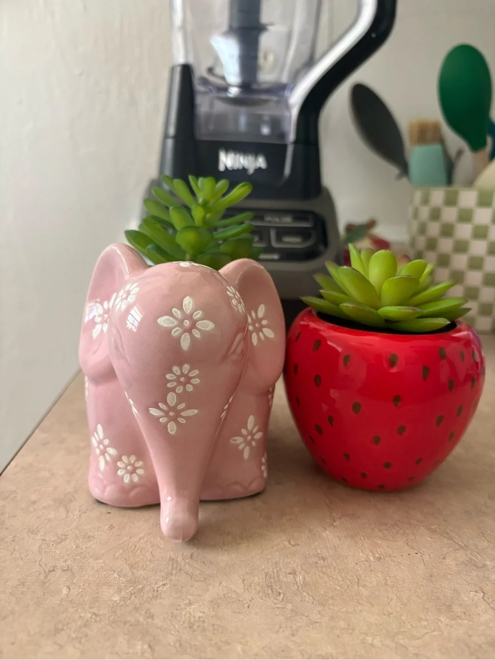 Set of Two Strawberry and Elephant Ceramic Planters with Succulents